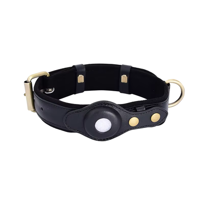 Premium Leather Dog Collar with Preparation for Apple AirTag Tracker