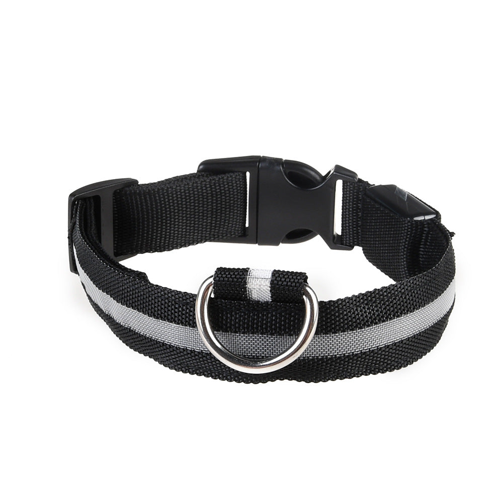 LED Dog Collar "Lumixa"