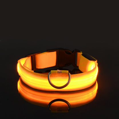 LED Dog Collar "Lumixa"