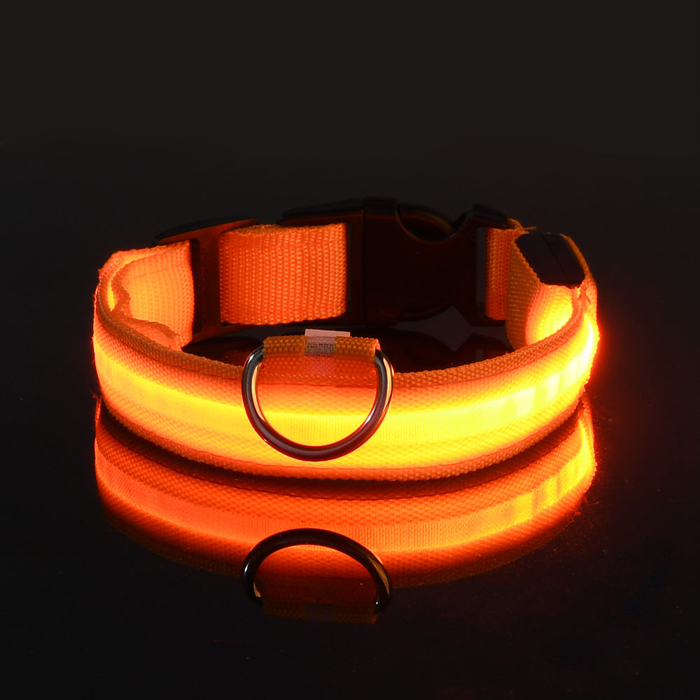 LED Dog Collar "Lumixa"