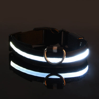 LED Dog Collar "Lumixa"