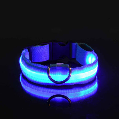 LED Dog Collar "Lumixa"