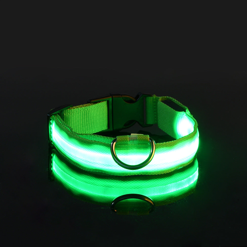 LED Dog Collar "Lumixa"