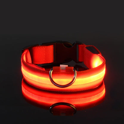 LED Dog Collar "Lumixa"