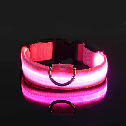 LED Dog Collar "Lumixa"