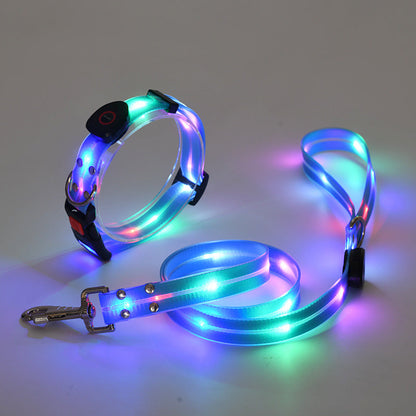 The new LED light collar incl. belt strap - TOP