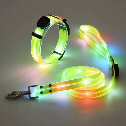 The new LED light collar incl. belt strap - TOP