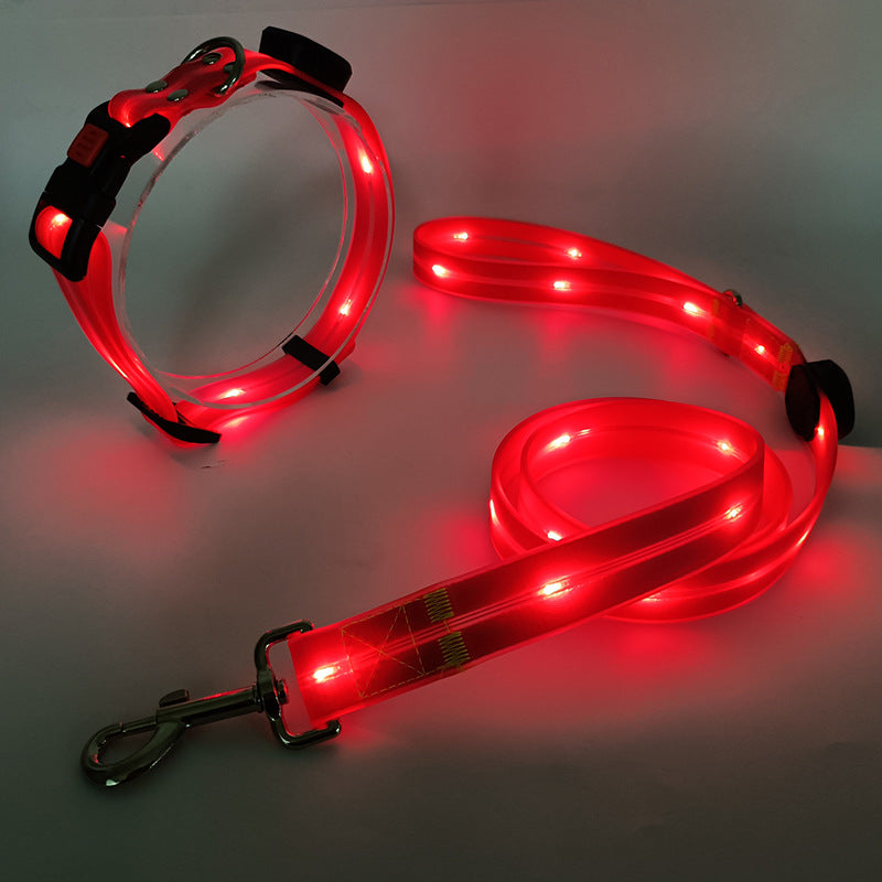 The new LED light collar incl. belt strap - TOP