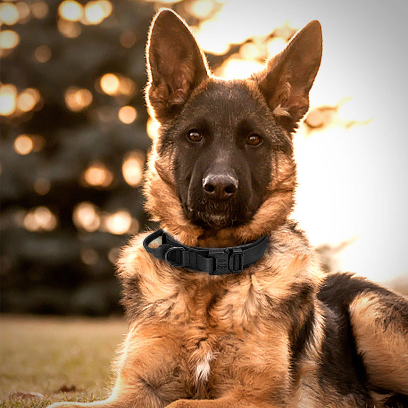 Tactical Dog Collar and Leash