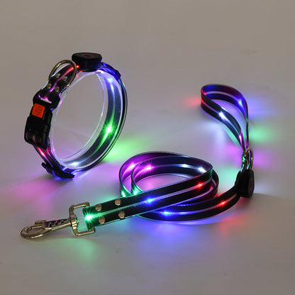 The new LED light collar incl. belt strap - TOP