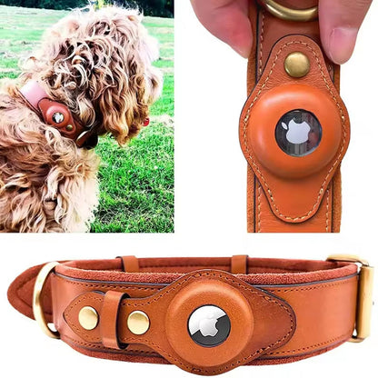 Premium Leather Dog Collar with Preparation for Apple AirTag Tracker