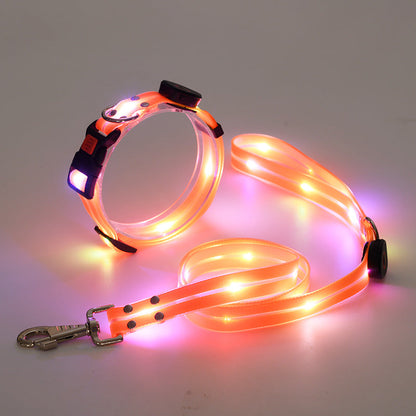 The new LED light collar incl. belt strap - TOP