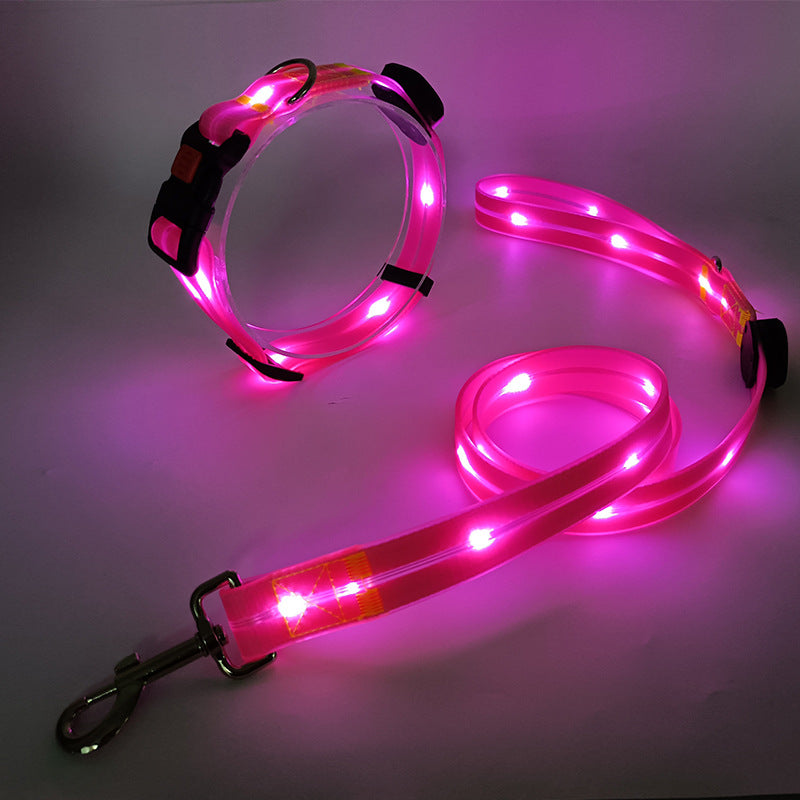 The new LED light collar incl. belt strap - TOP