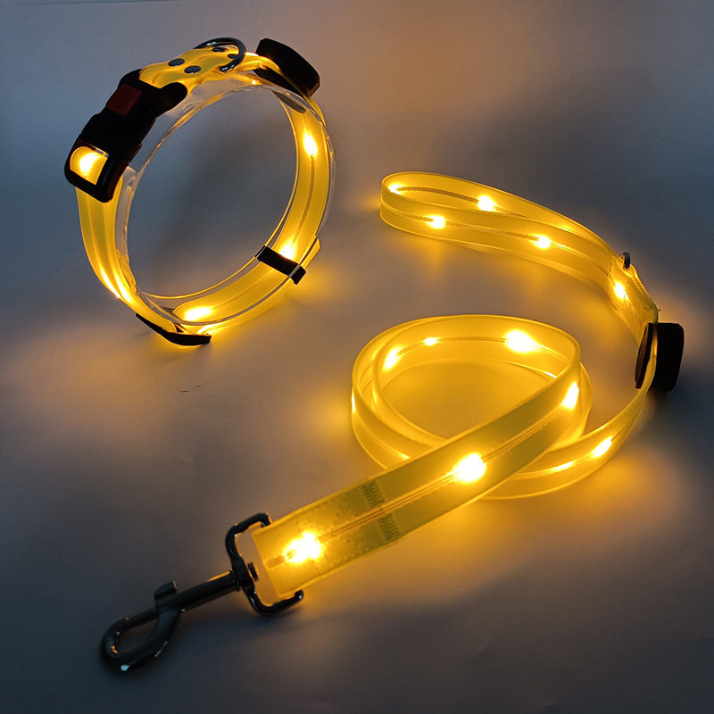 The new LED light collar incl. belt strap - TOP