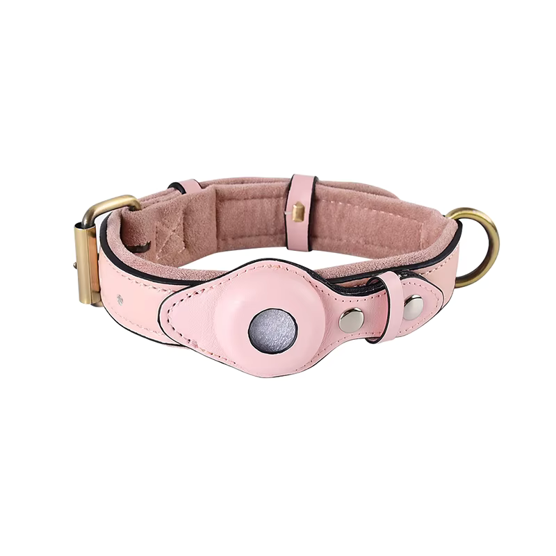 Premium Leather Dog Collar with Preparation for Apple AirTag Tracker